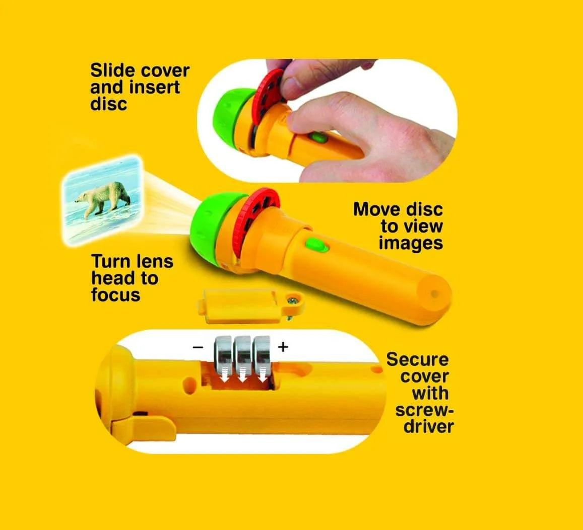 Animal torch Brainstorm Toys The Toy Room