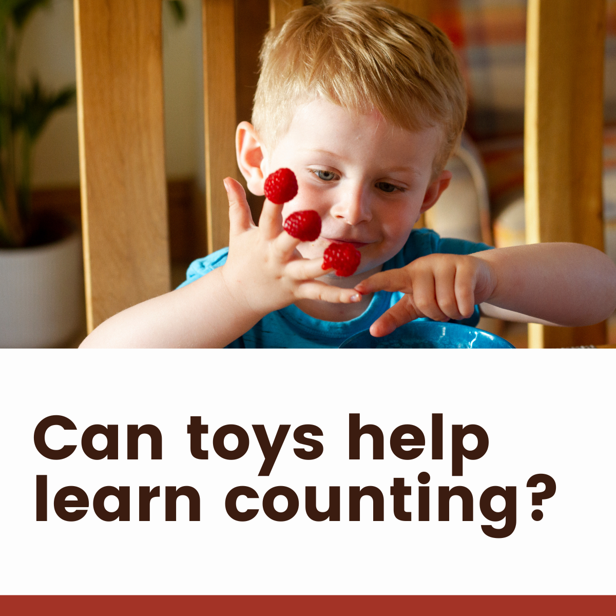 Toys to help learn counting The Toy Room
