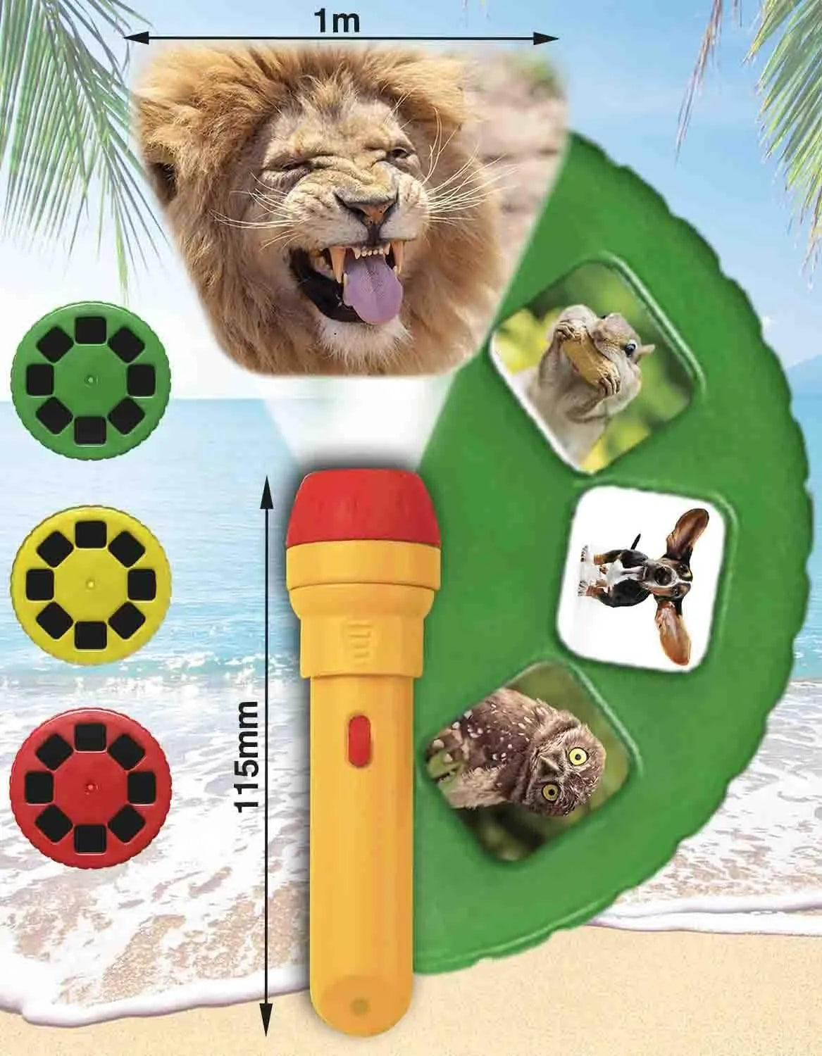 animal learning toys - shop projector torch toy at The Toy Room