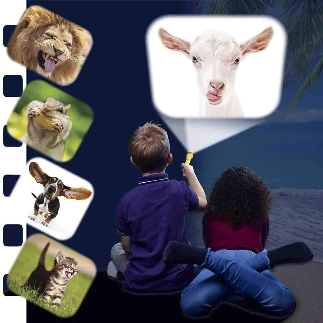 shop brainstorm toys at the toy room - funny animals toy - animal projector torch toy